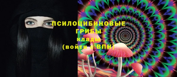 МДМА Белокуриха