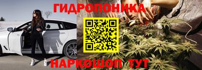 мдпв Партизанск