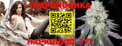 мдпв Партизанск