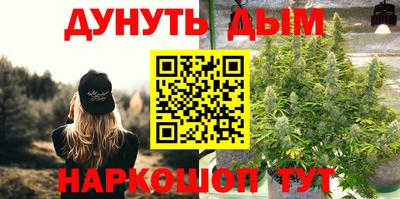 мдпв Партизанск
