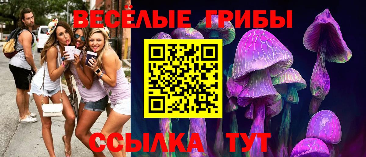 Галлюциногенные грибы ЛСД Новый Уренгой